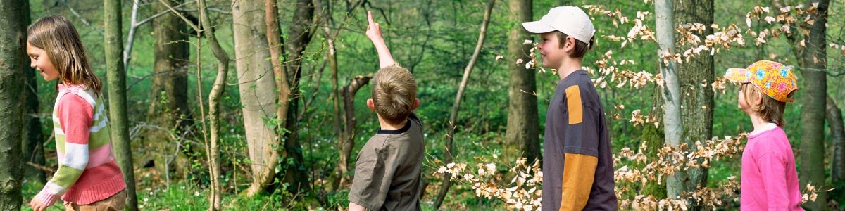 children-hiking