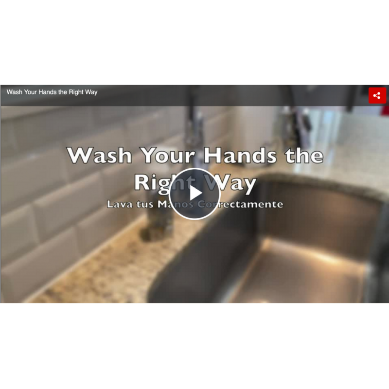 洗手的视频