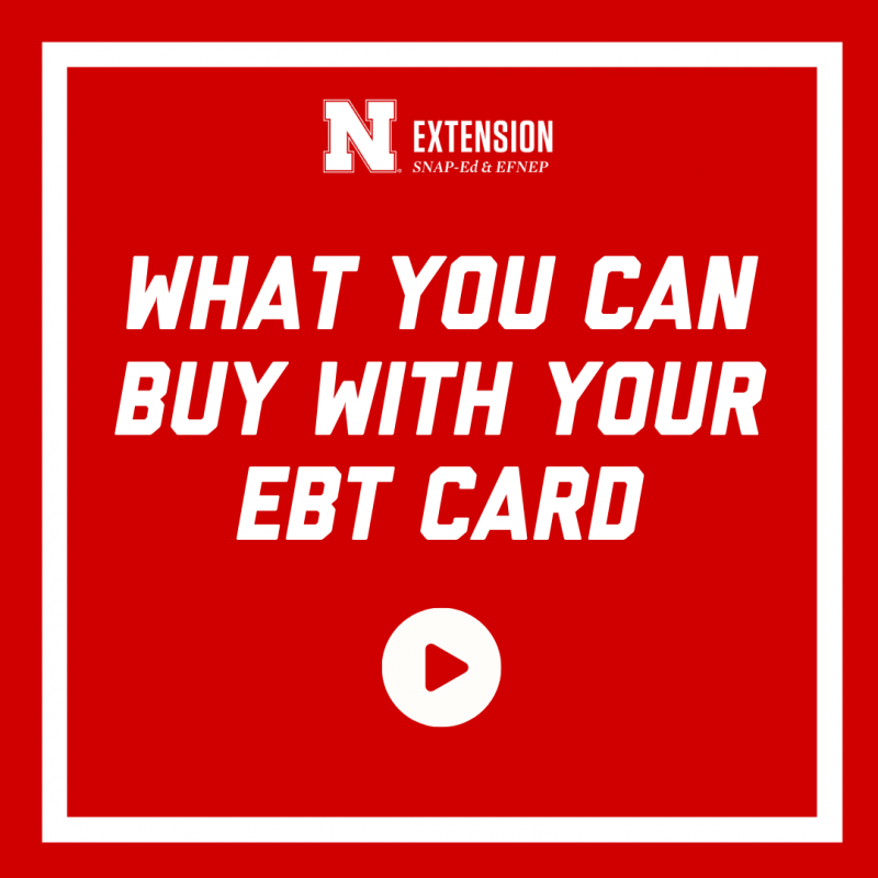 你可以用你的ebt卡买什么